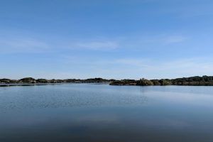 albufera