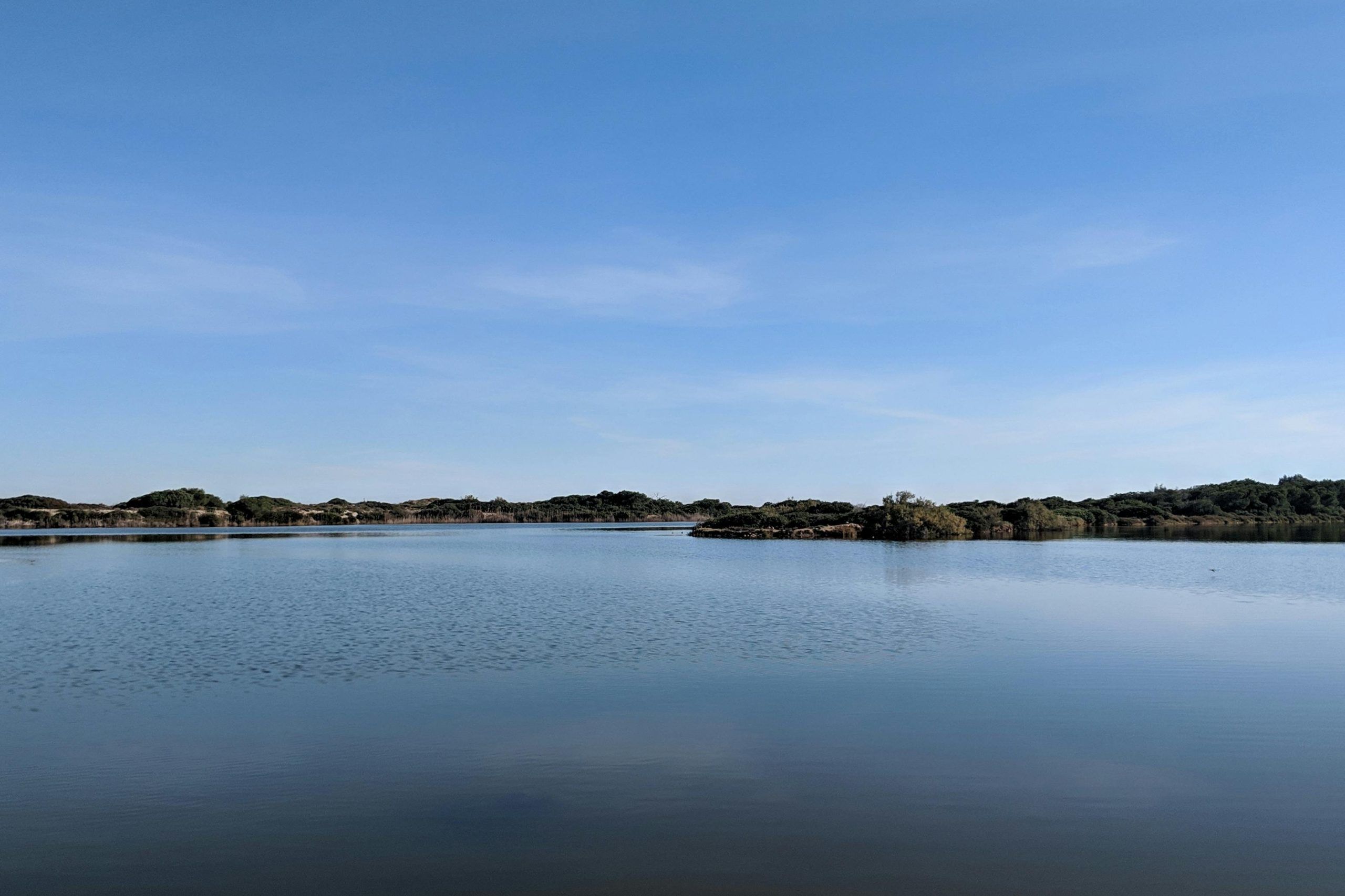 albufera