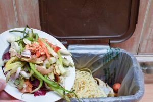desperdicio alimentos