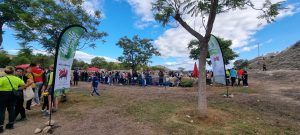 Reforestación de otoño en Villafranqueza (2)
